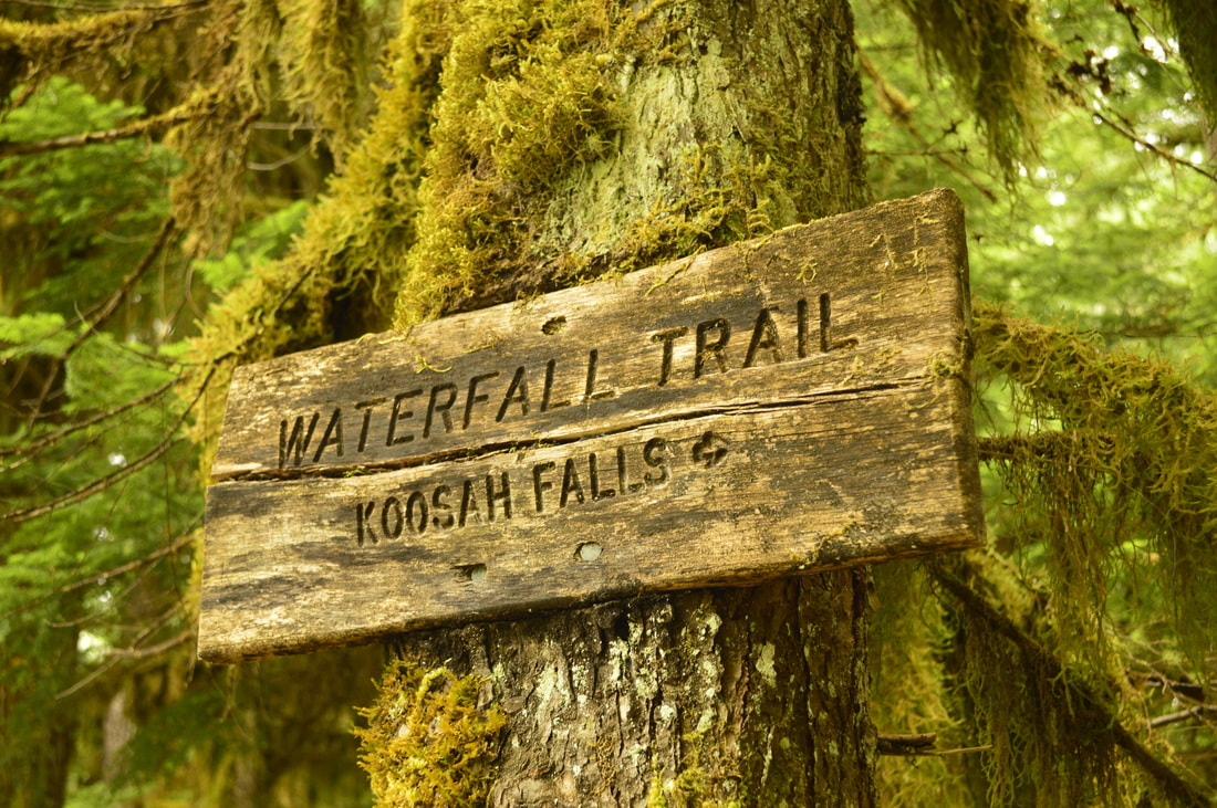 Koosah Falls sign, McKenzie River Trail, best waterfall hikes in oregon