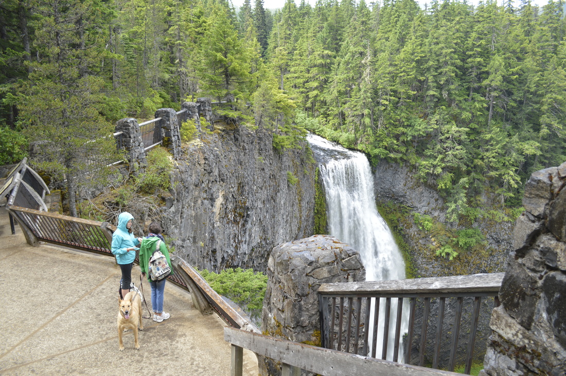Salt Creek Falls viewing platform