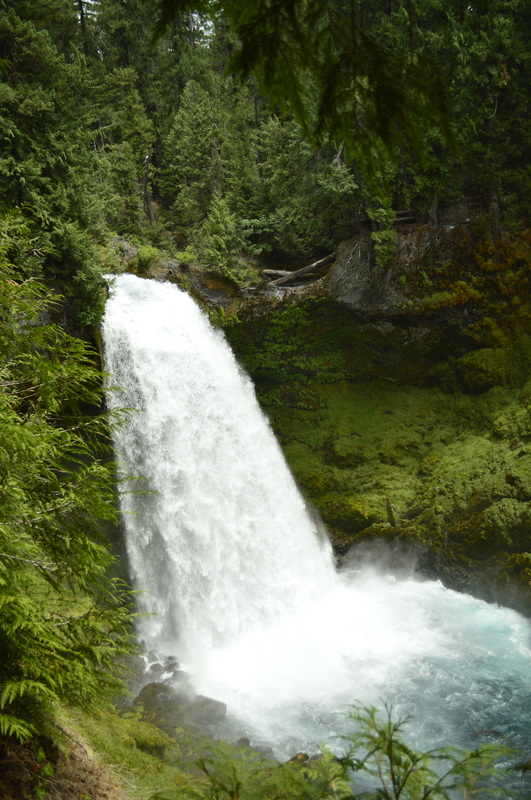 Sahalie Falls from the McKenzie River trail