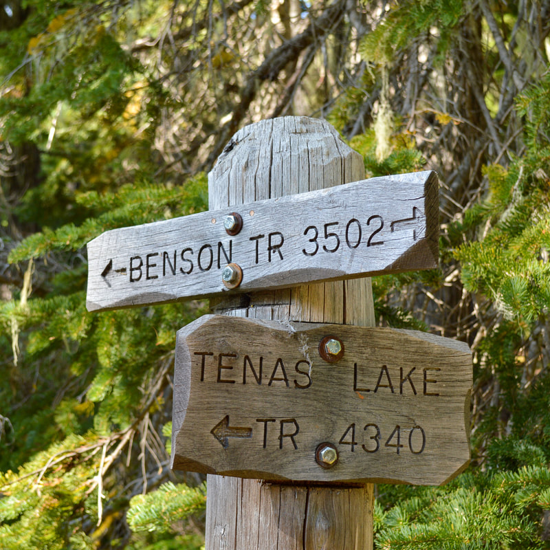 Benson Lake Trail Tenas Lake Trail sign