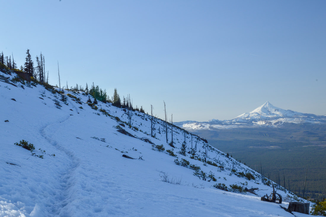 Black Butte trail in the snow