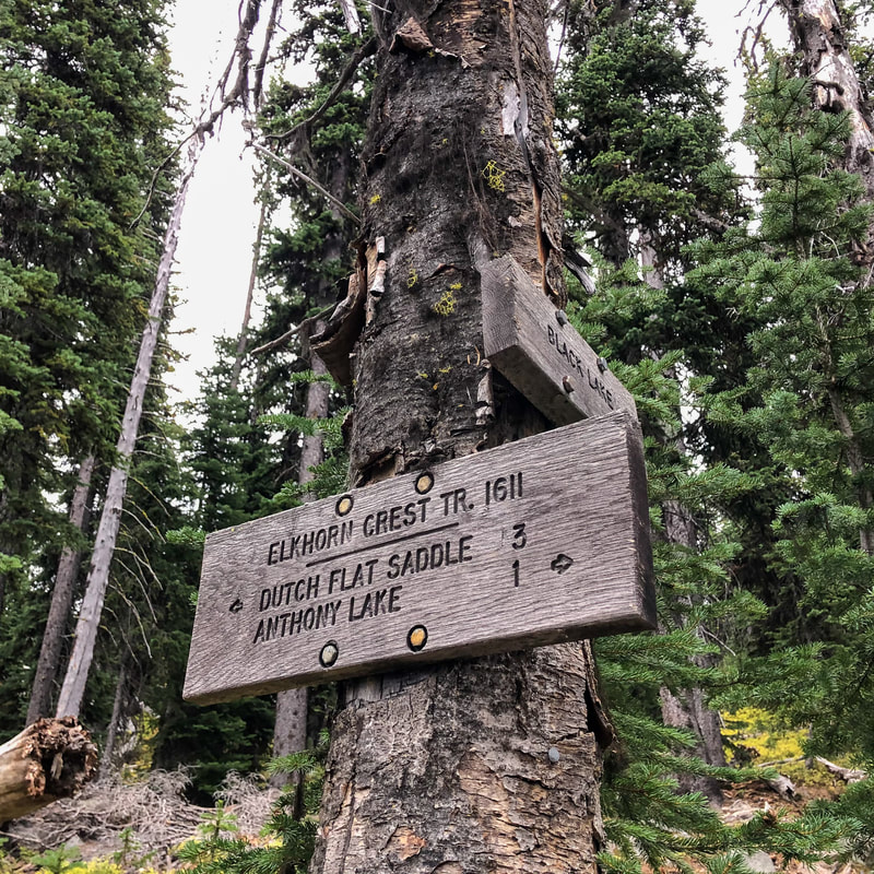 Black Lake Trail sign
