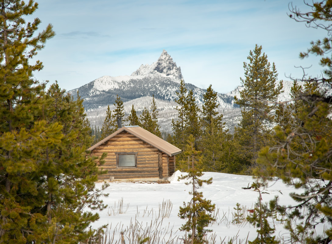 Muskrat Lake trapper's cabin