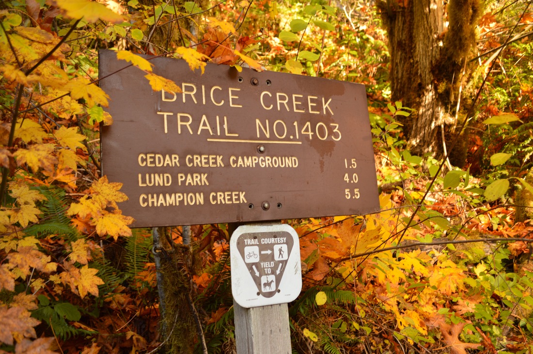 Brice Creek Trail sign best fall hike in Oregon