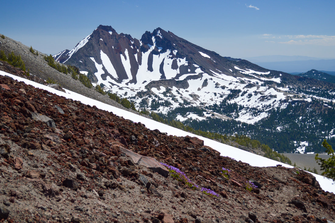 Broken Top and wildflowers on the South Sister climber Trail