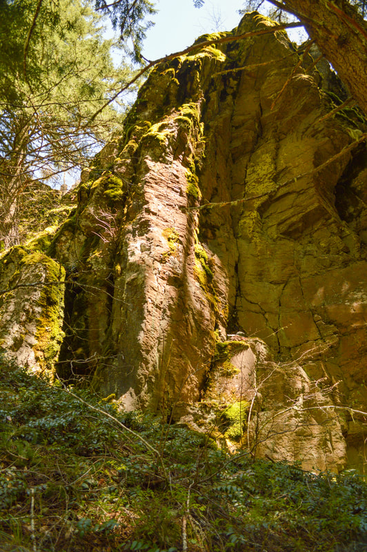 Large rocks along the Castle Rock hiking trail