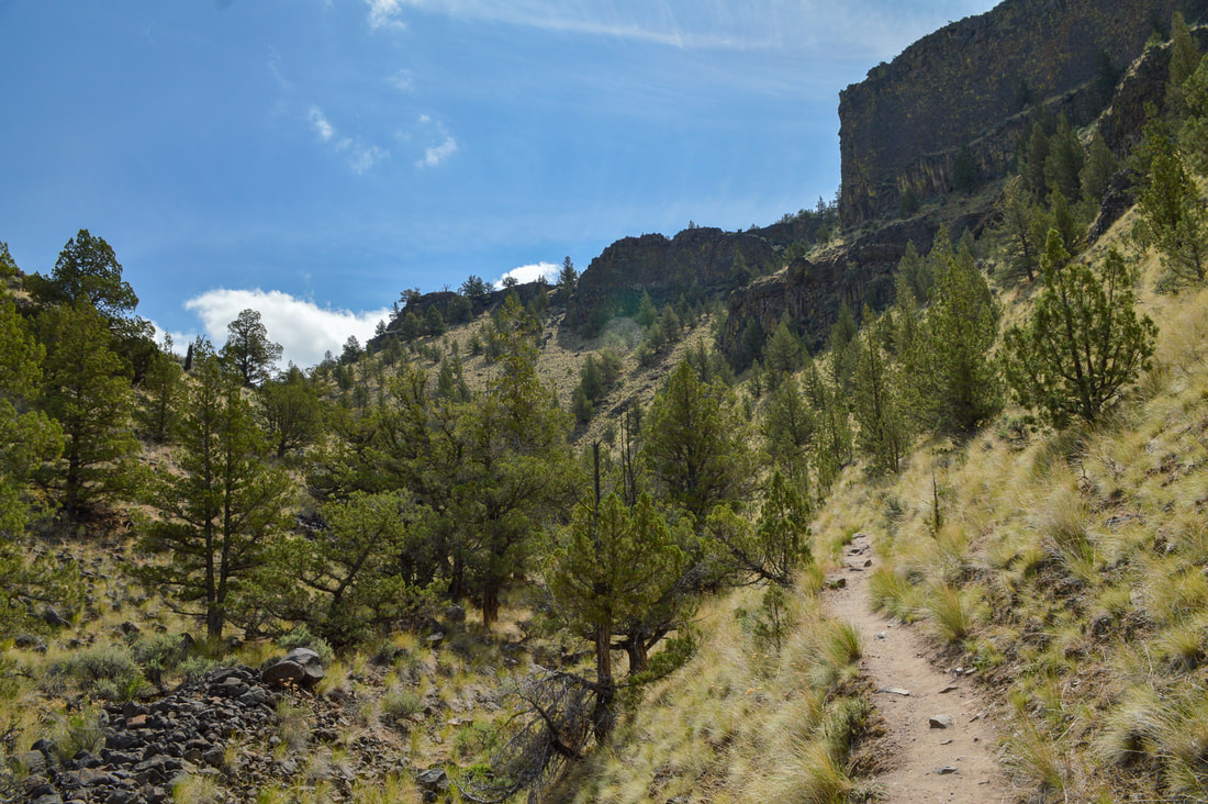 Chimney Rock Trail into canyon