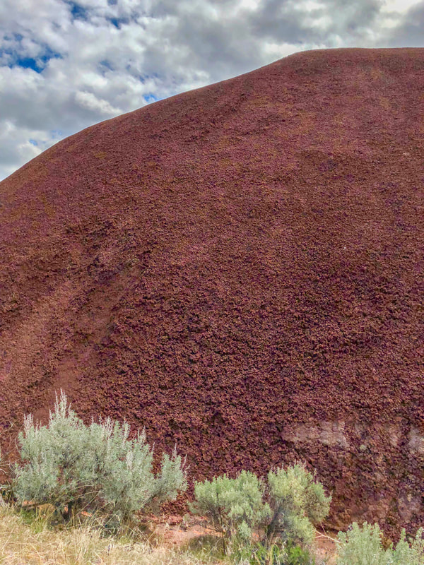 Close up of the Painted Hills texture