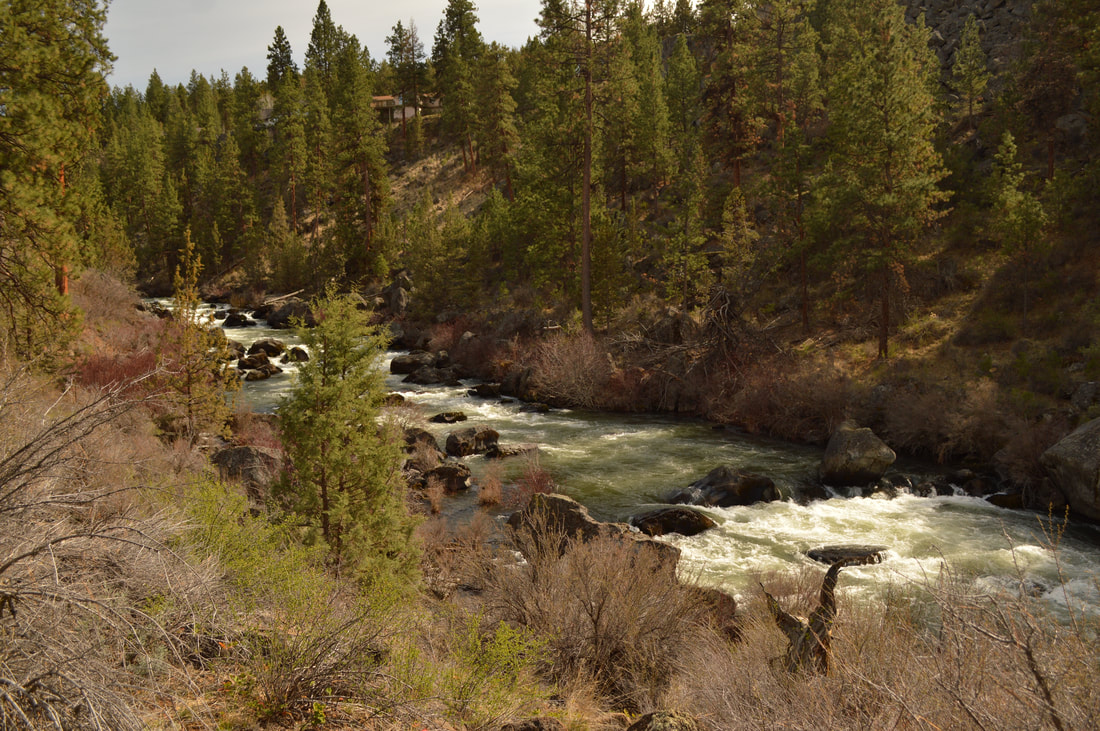 Des chutes River overlook at Riley Nature Preserve