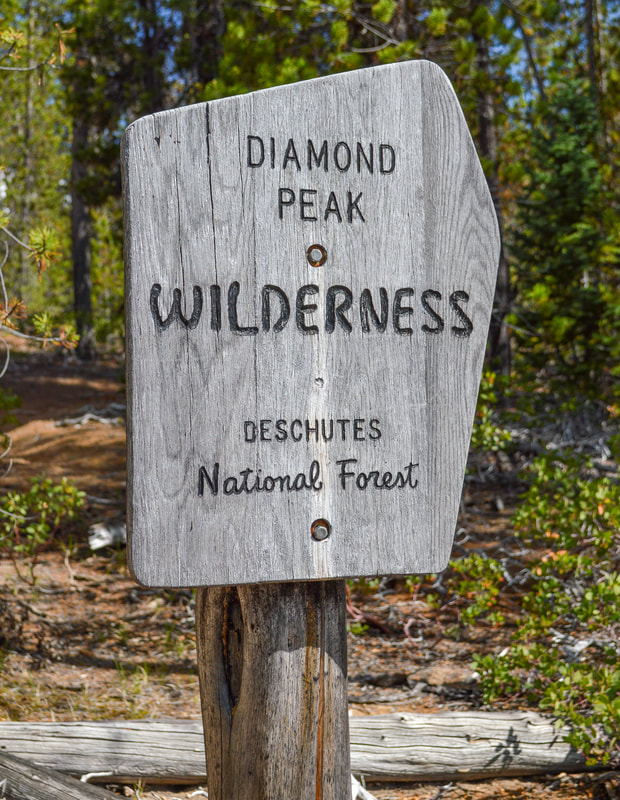 Diamond Peak Wilderness sign