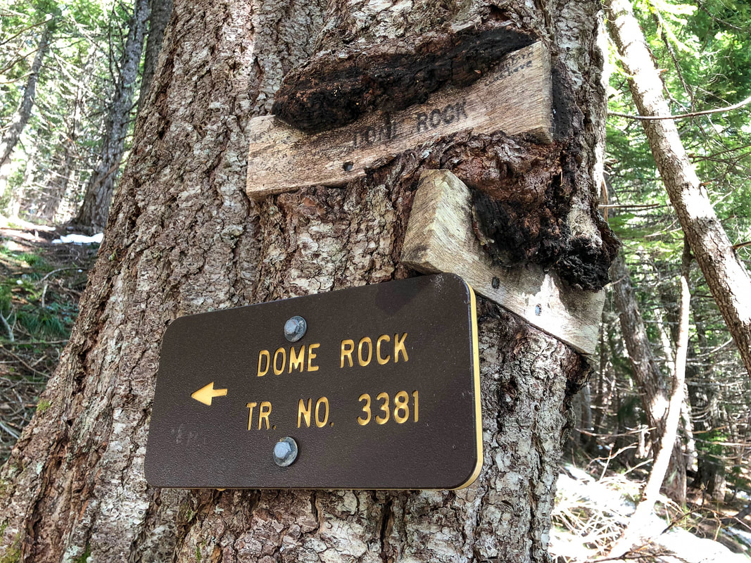 Dome Rock trail junction Tumble Ridge Trail