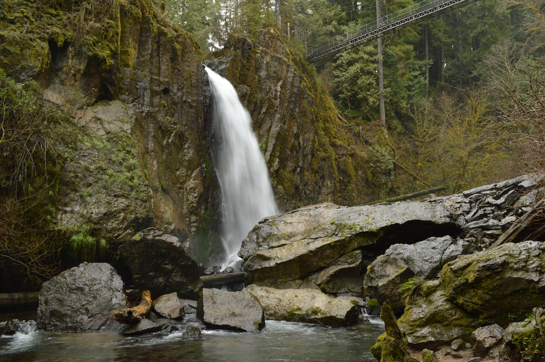 Drift Creek Falls and suspension bridge