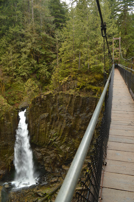 Drift Creek Falls from the suspension bridge