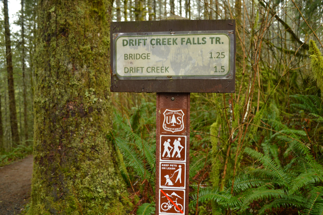 Drift Creek Falls trail sign