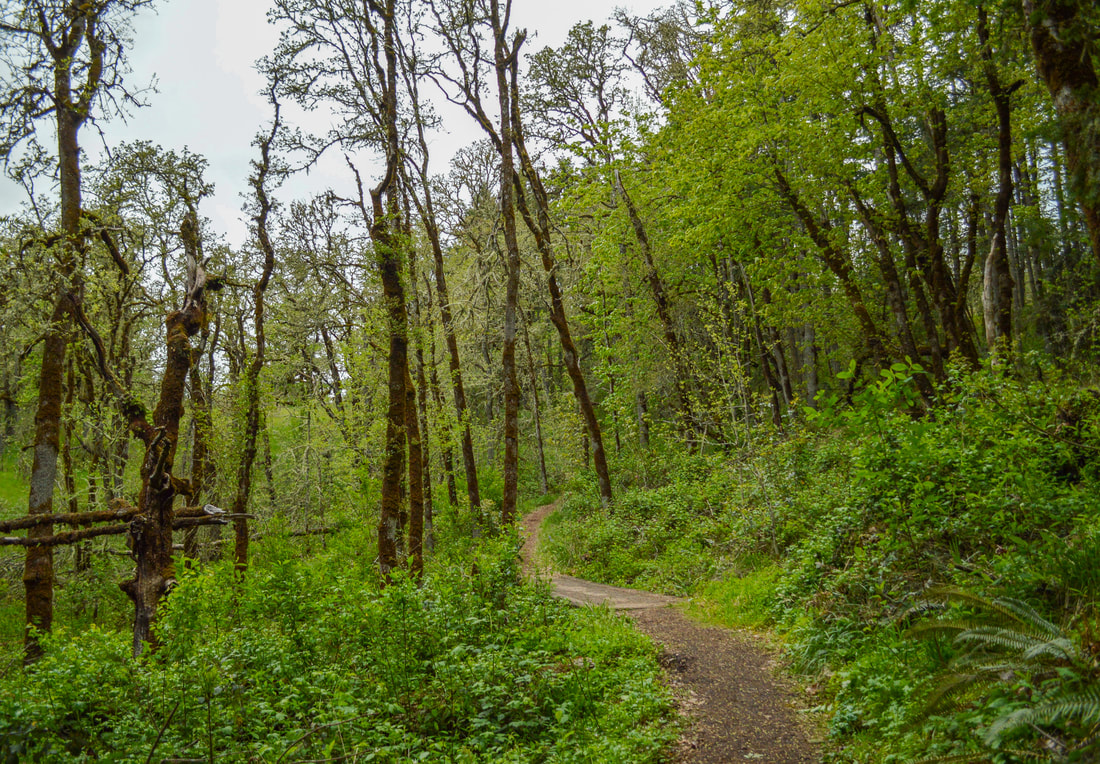 Ridgeline Trail 