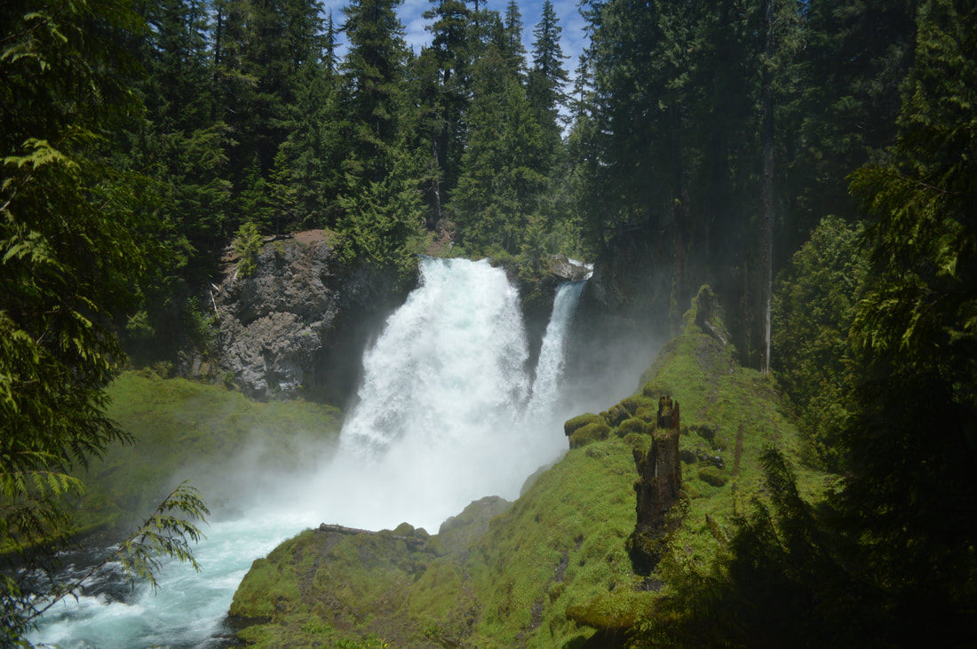 Sahalie Falls McKenzie River Trail, best Oregon waterfall hikes