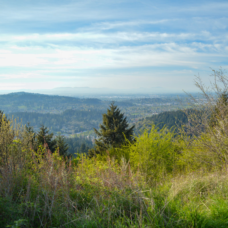 view of Eugene from Mount Baldy