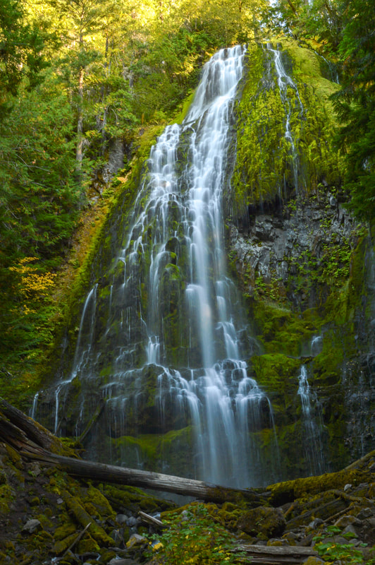 Lower Proxy Falls Waterfall