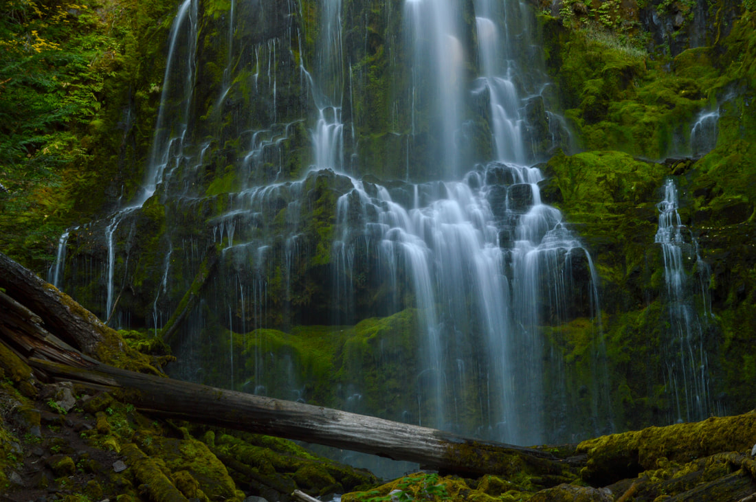 Proxy Falls best waterfall hikes in Oregon