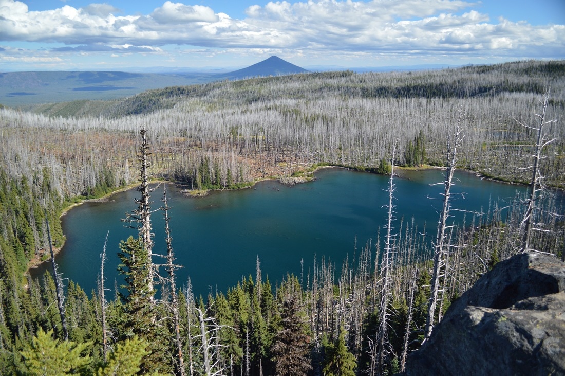 Wasco Lake viewpoint from Minto Pass on the Pacific Crest Trail