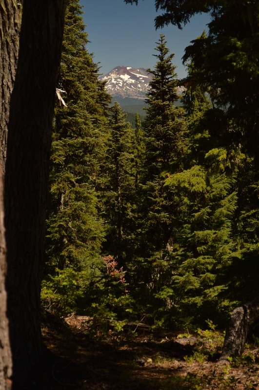 First glimpse of South Sister Pacific Crest Trail Oregon