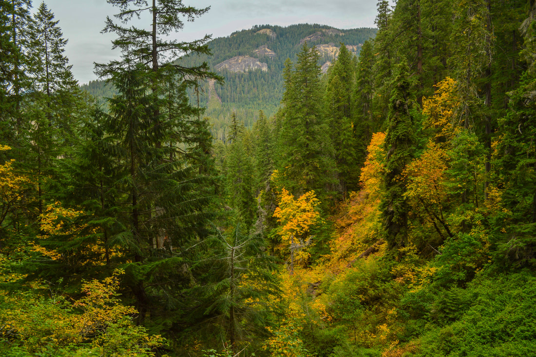 Watson Falls Trail top 10 Oregon fall hikes