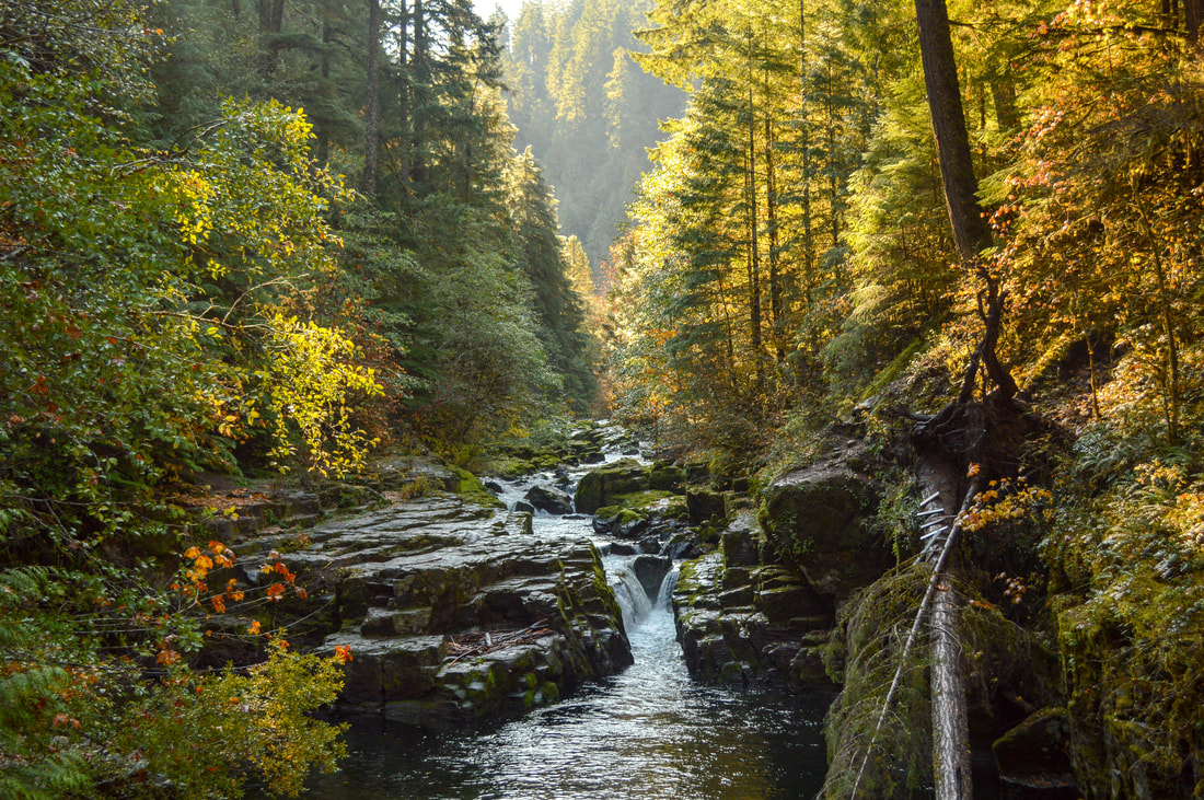 Brice Creek in the fall