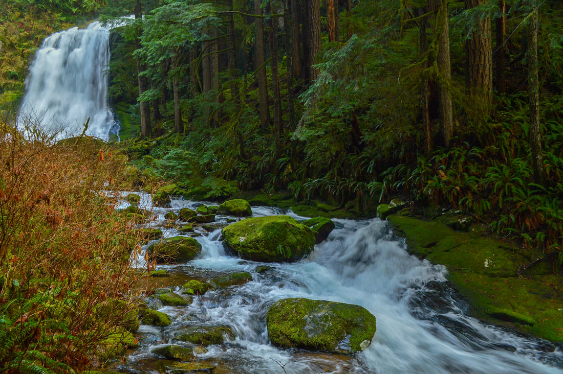 Panorama picture of Little Falls along the Little North Santiam River hiking trail