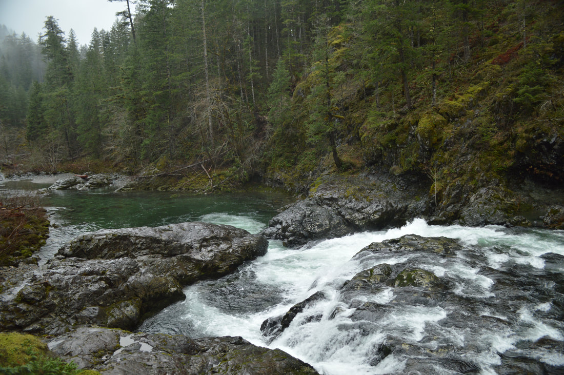 Little Falls from the Little North Santiam Trail