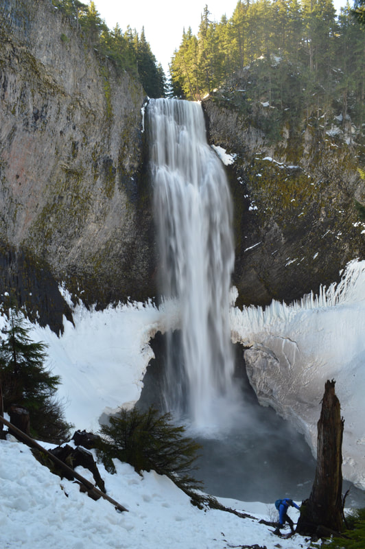 Salt Creek Falls best Oregon waterfall hike