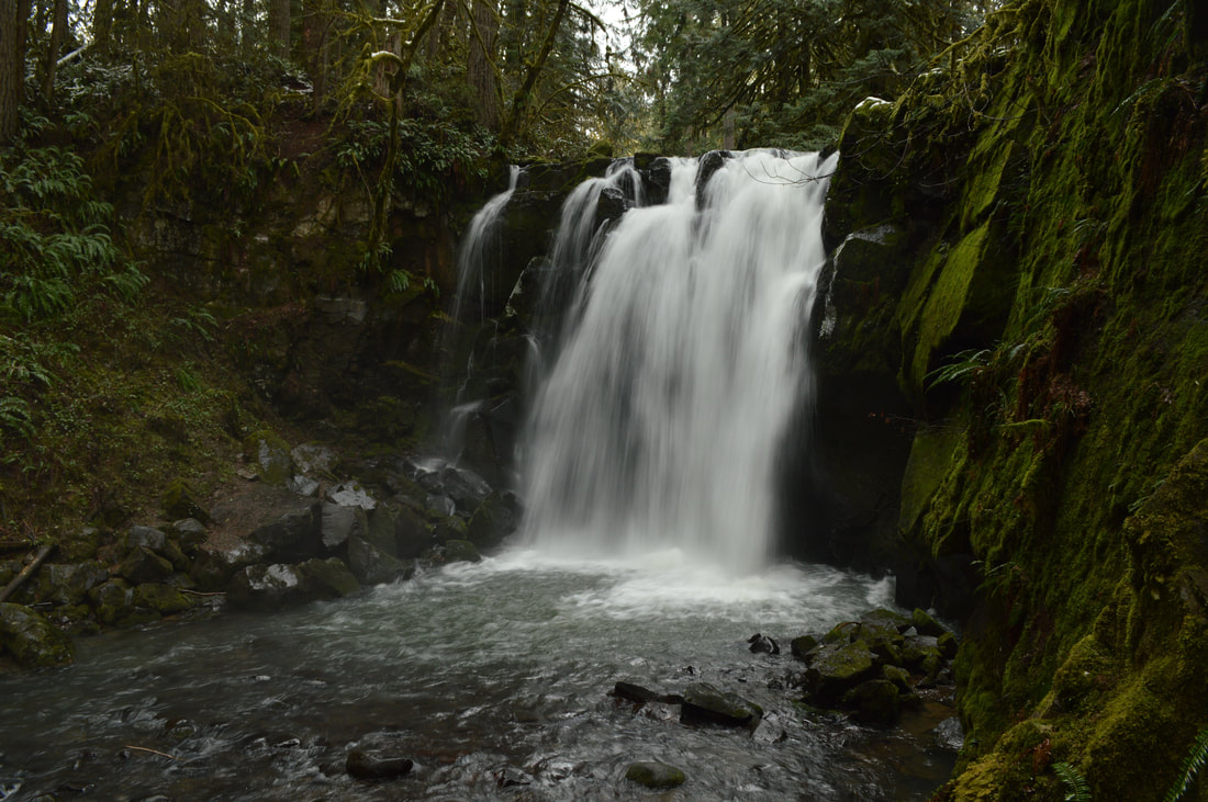 McDowell Creek Falls best easy waterfall hike in Oregon