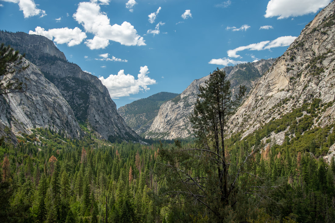 view into the South Fork Kings River canyon
