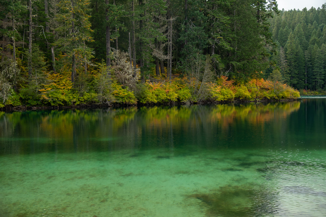 Clear Lake Oregon best fall foliage hike