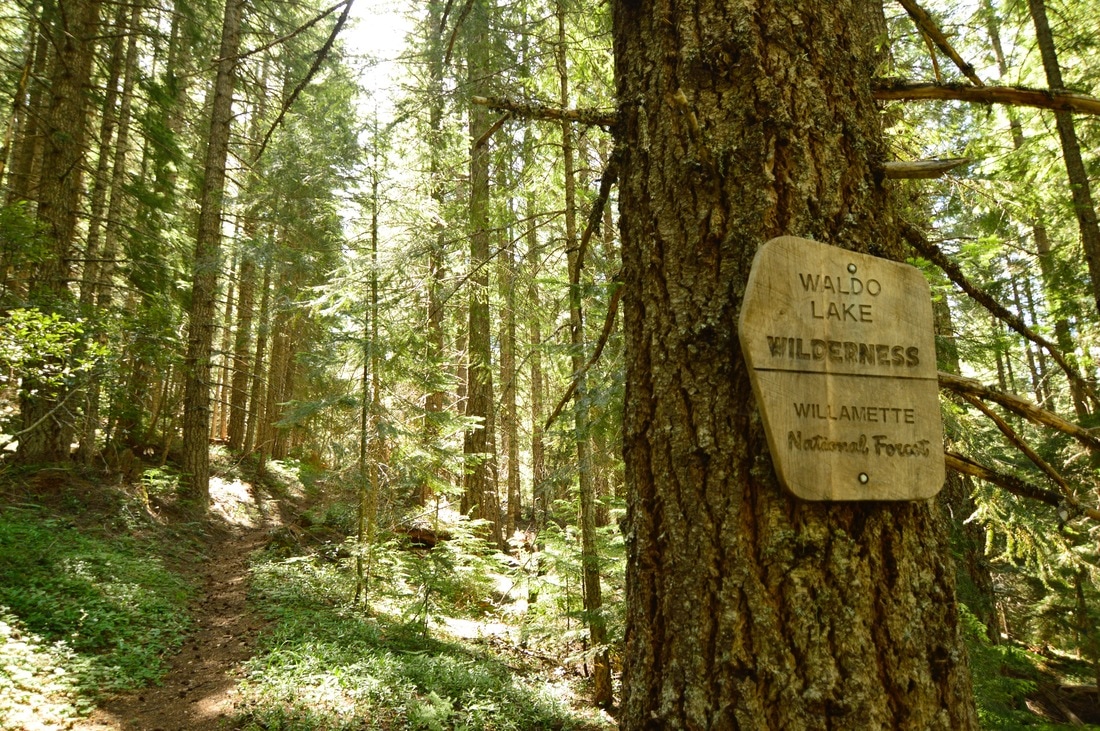 Waldo Lake Wilderness sign