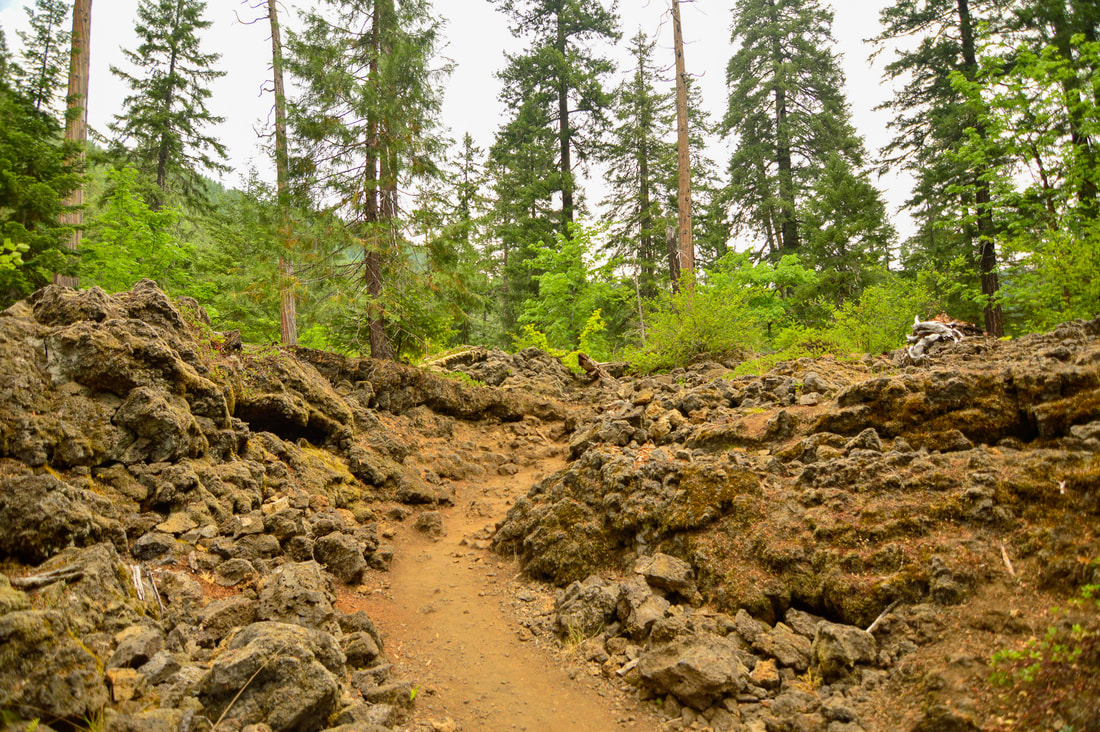 Lava rock section on the McKenzie River Trail