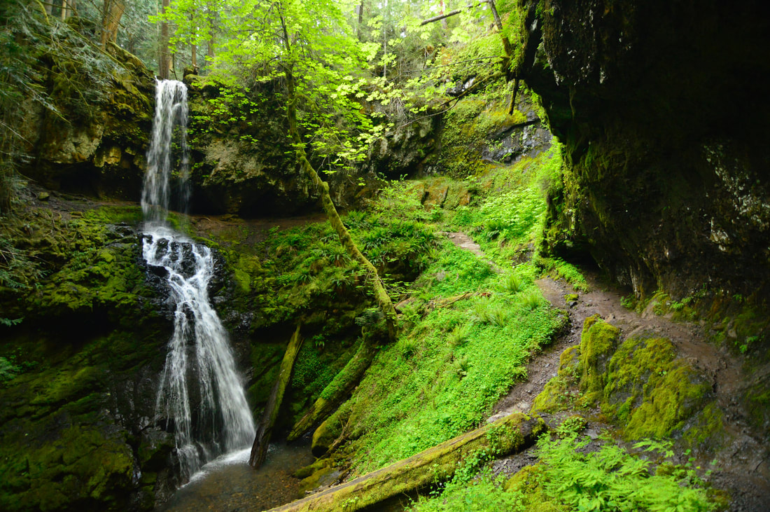 Hemline Falls trail through the forest, best Oregon waterfall hike