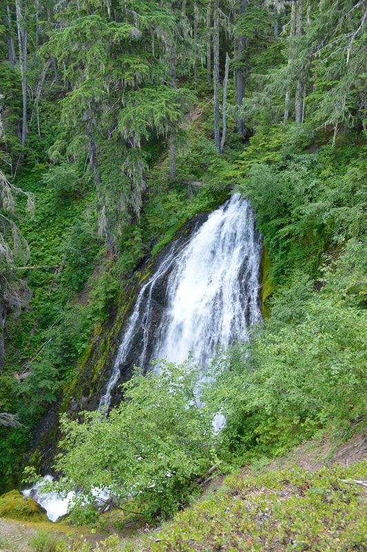 Fall Creek Falls in the Willamette National Forest, best Oregon waterfall hike