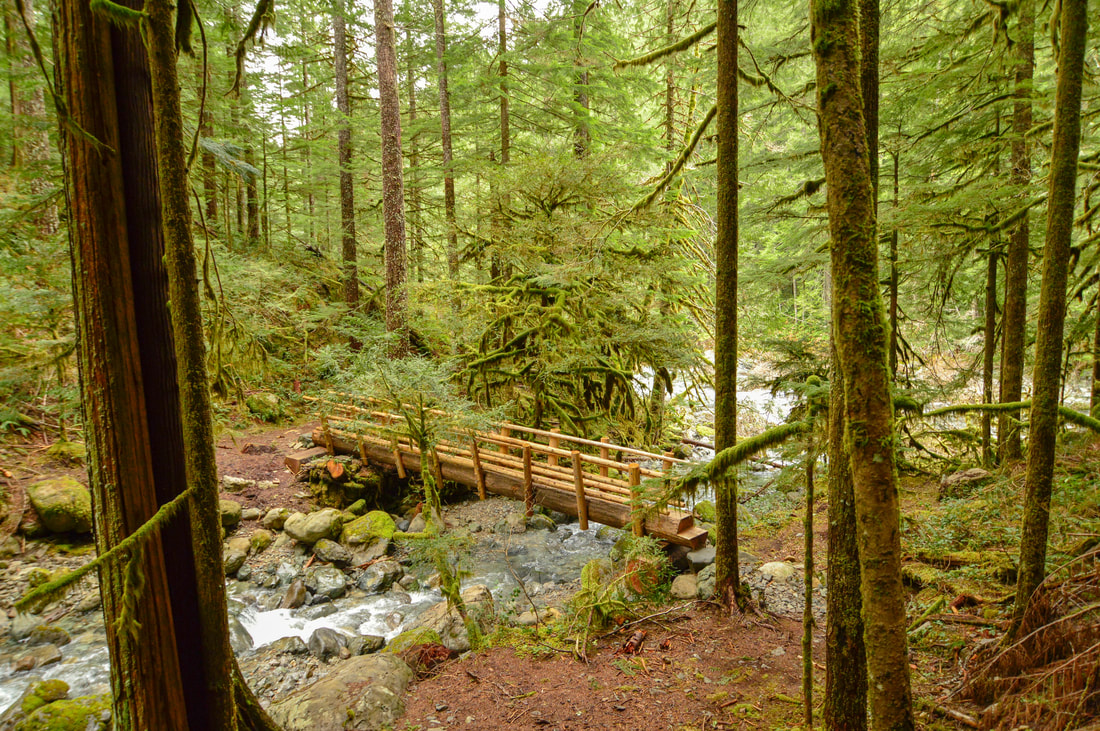 Bridge across creek along the Little North Santiam Trail