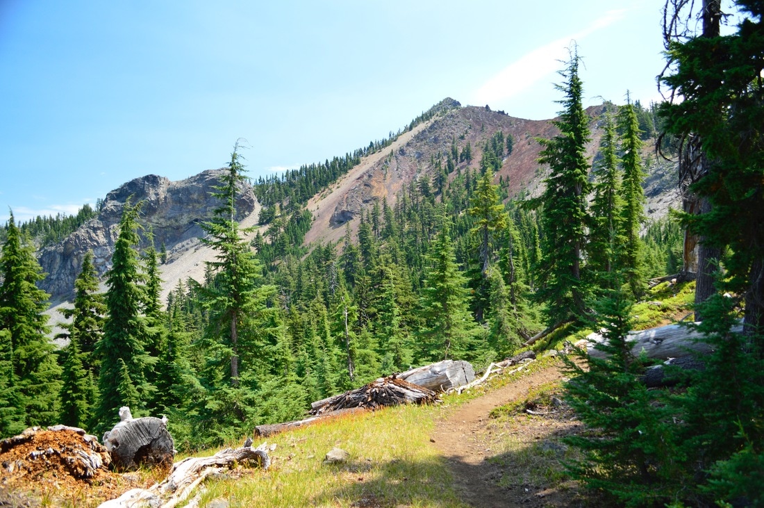 Cowhorn Mountain from the Pacific Crest Trail