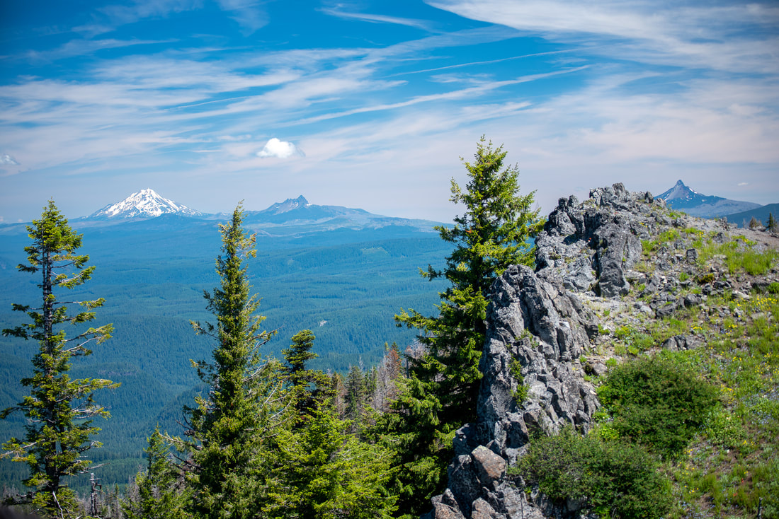 View from Horsepasture Mountain Top Oregon summer hikes