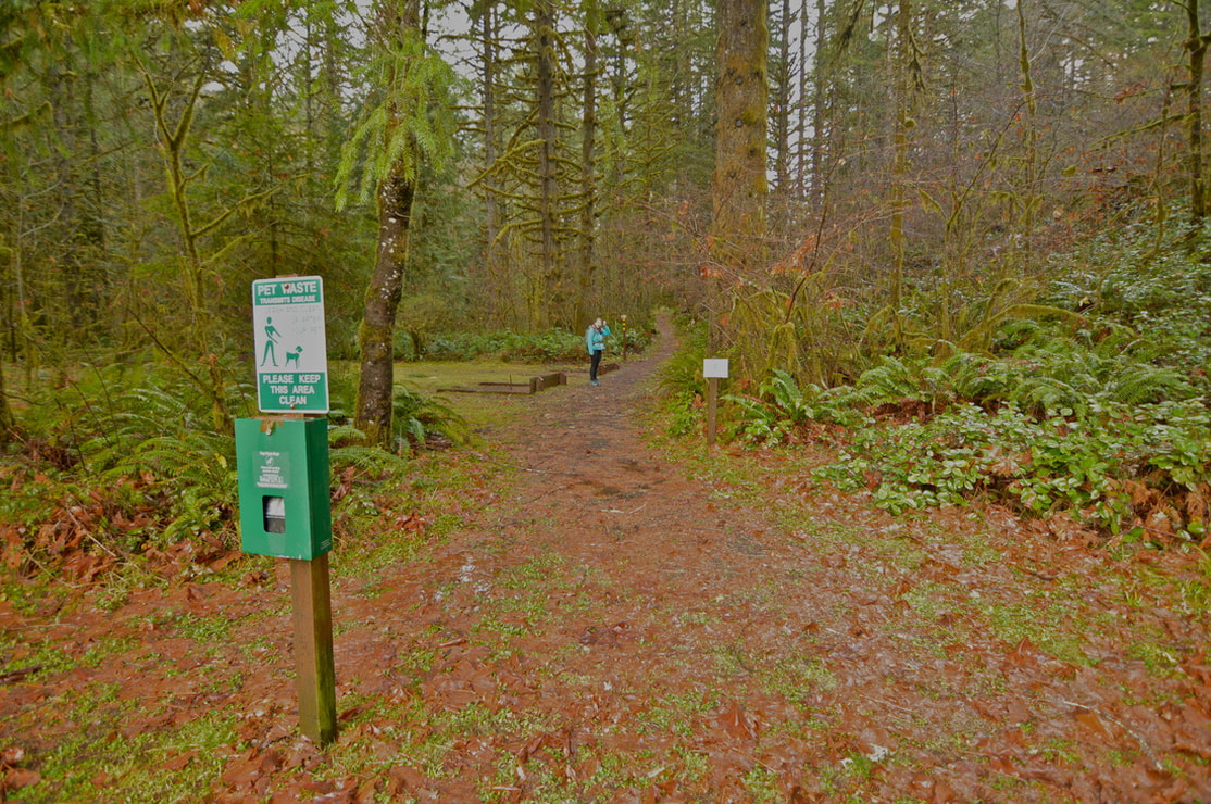 The trail head to the Shotgun Creek loop hike