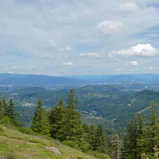 Spencer Butte summit view