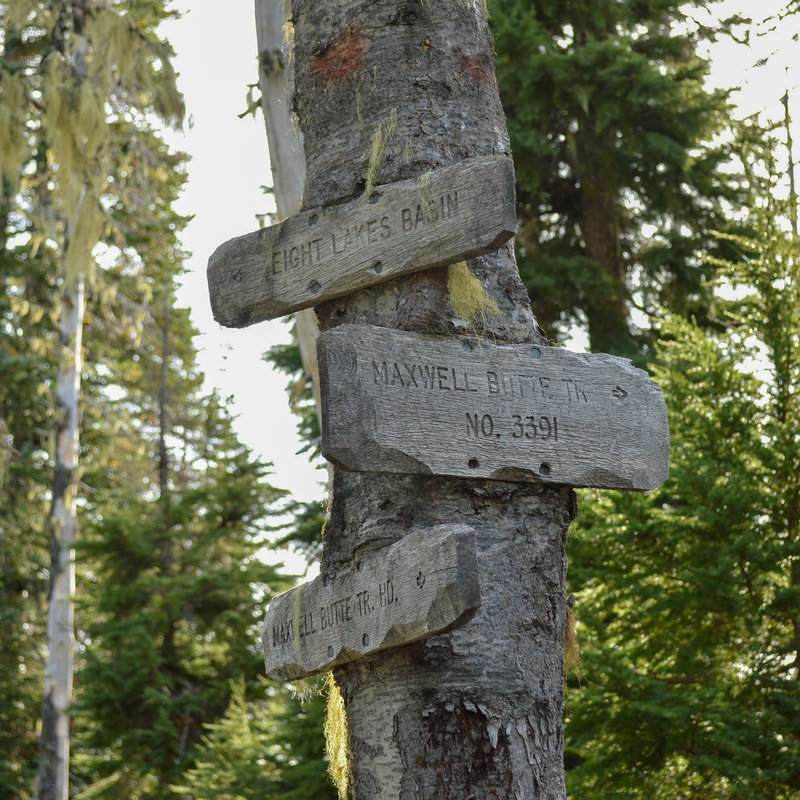 Eight Lakes Basin trail junction