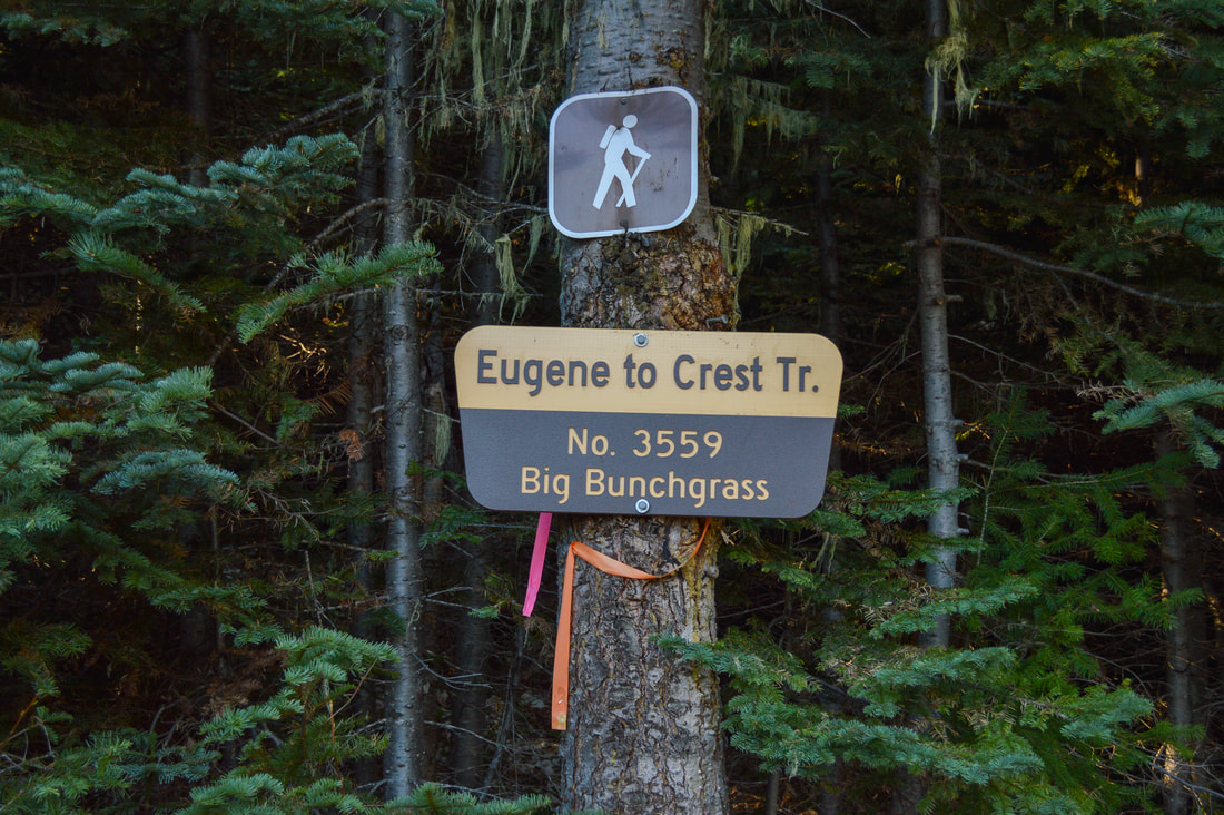 Eugene to Pacific Crest Big Bunchgrass Trail