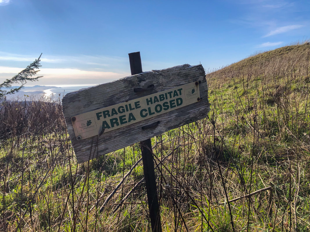 Fragile habitat at Cascade Head
