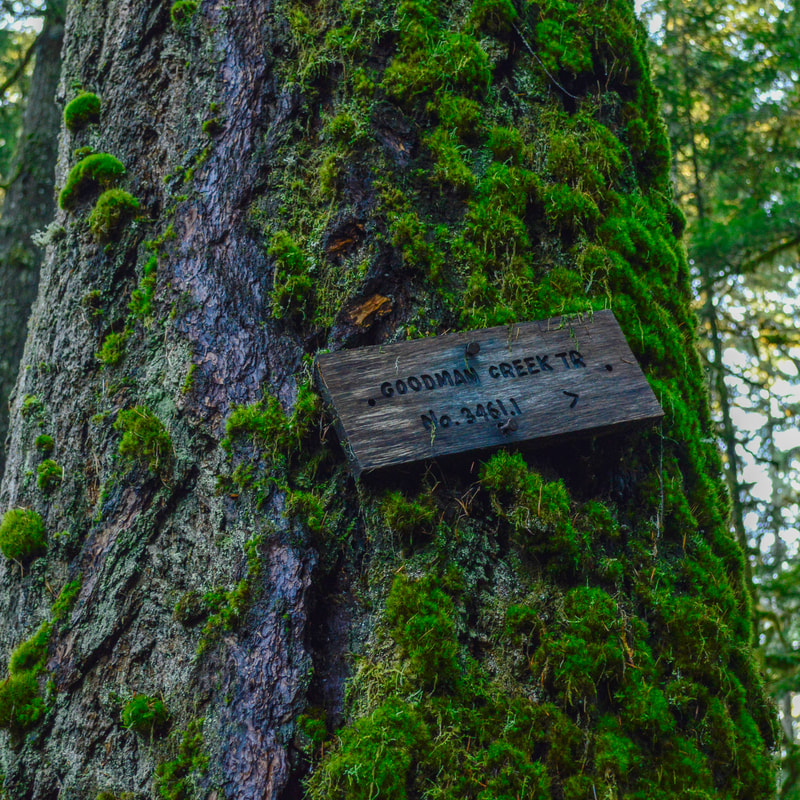Goodman Creek trail sign