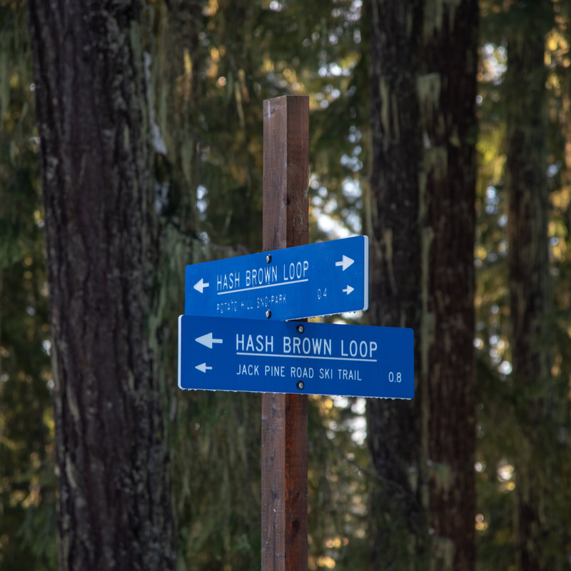 Hash Brown loop trail Potato Hill Sno Park