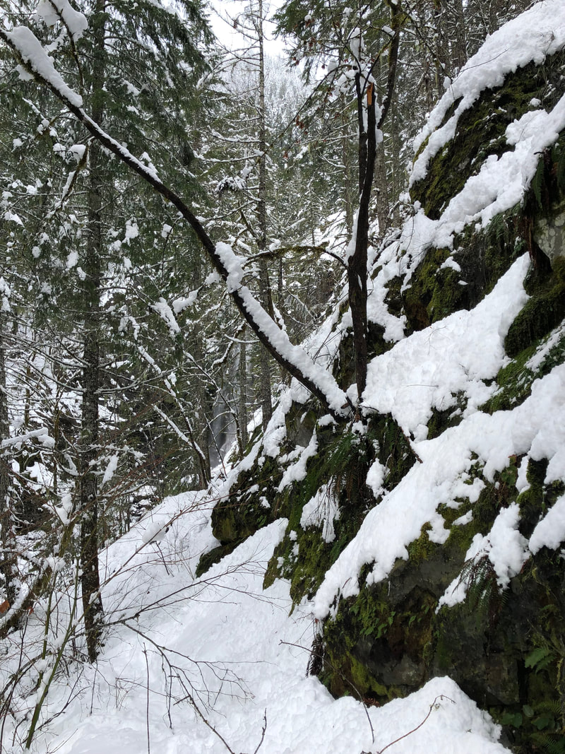 Henline Falls Trail in winter