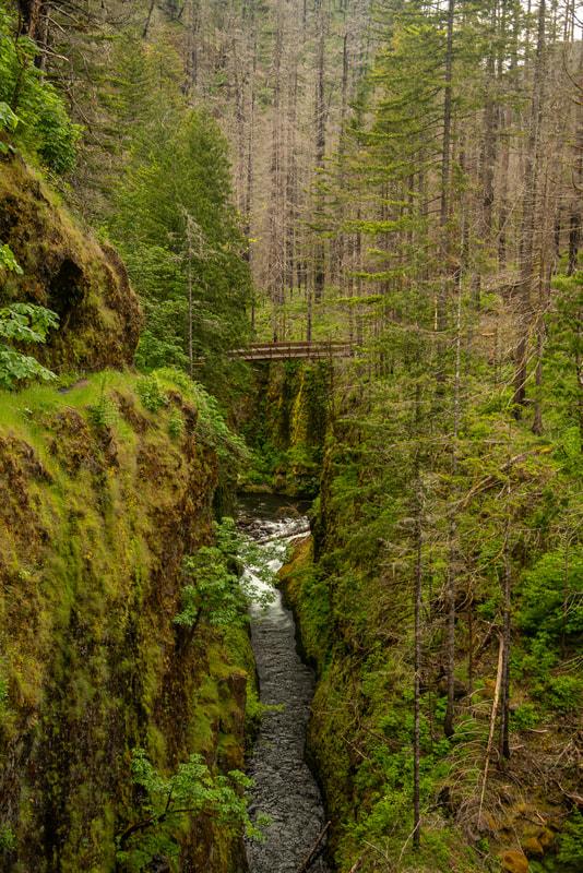 High Bridge Eagle Creek Trail