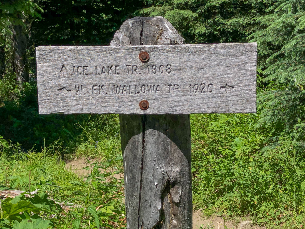 Ice Lake Trail junction